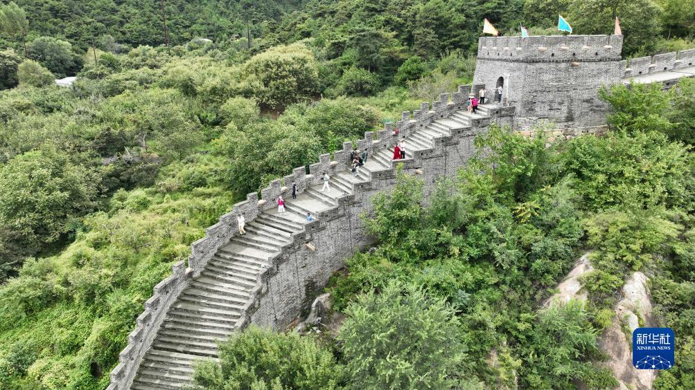 1980平台登陆